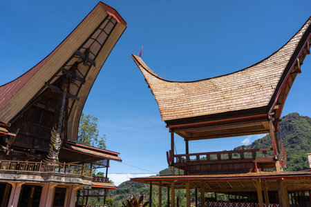Traditional Toraja village with iconic tongkonan houses under a bright blue sky, surrounded by lush...