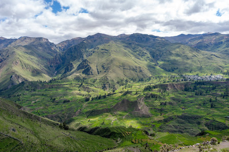 A stunning view of Colca Canyon with dramatic cliffs, lush greenery, and a clear blue skyの写真素材
