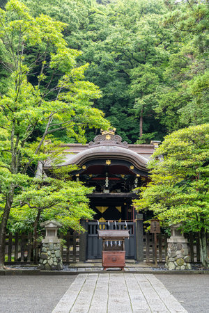 Hidden among lush greenery, Shirahata Shrine stands peacefully within the sacred grounds of Tsurugaoka Hachiman-gu in Kamakura, inviting quiet reflectionの写真素材
