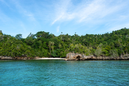 Secluded Lia beach with white sand and lush forest on Waleakodi Island, part of the stunning Togian...