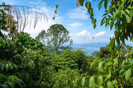 Wide view of Lake Poso surrounded by lush green hills and forests under a bright blue sky near Tentena, Sulawesi, Indonesiaの写真素材