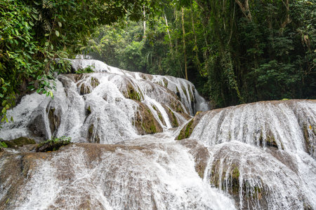 The Saluopa waterfall cascades down mossy rocks surrounded by lush tropical forest near Tentena, Sulawesi, Indonesia, creating a beautiful natural sceneの写真素材