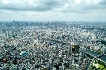 An expansive aerial perspective of Tokyo reveals a dense urban landscape, with rivers, bridges, and...