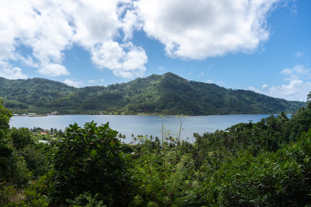 Lush vegetation, trees, and the serene Hurepiti Bay landscape on Tahaa Island, French Polynesiaの写真素材