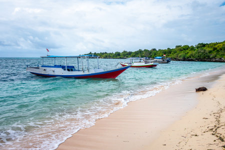 Colorful boats float near the sandy shore of Pulau Liukang Loe, surrounded by turquoise waters and lush vegetation in Sulawesi, Indonesiaの写真素材