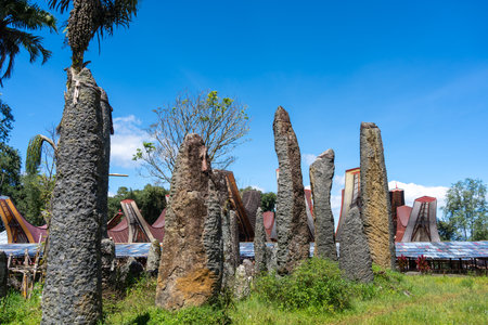 Tall funerary monoliths rise among traditional houses in a village of the Toraja land, located in the mountains of Sulawesi, Indonesiaの写真素材