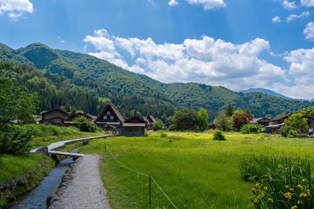 Gassho-style houses, vibrant trees, and lush grasslands characterize the peaceful atmosphere of Shirakawa-go village in Japan green mountainsの写真素材