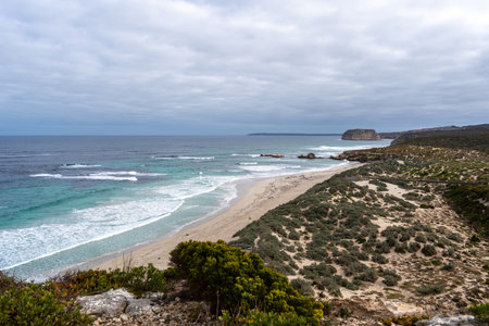 Several seals lie on the sandy shore of Seal Bay Conservation Park, in Kangaroo Island, Australia