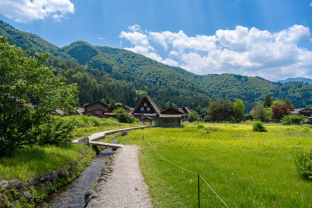 Gassho-style houses, vibrant trees, and lush grasslands characterize the peaceful atmosphere of Shirakawa-go village in Japan green mountainsの写真素材