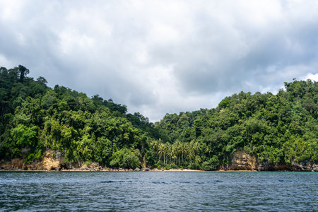 A hidden paradise beach lined with palm trees and lush green jungle on a remote islet of the Togian Islands, Sulawesi, Indonesiaの写真素材
