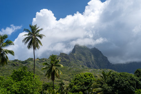 Mount Temetiu rises above Atuona on Hiva Oa, French Polynesia, partially covered by mist. Lush vegetation and towering coconut palms frame the islandâs dramatic volcanic landscapeの写真素材