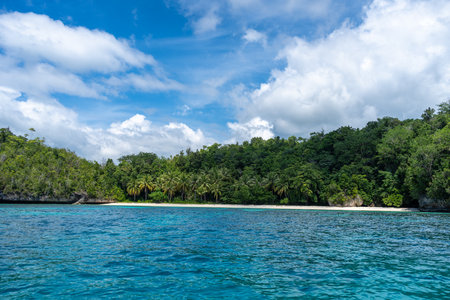 A stunning white sand beach lined with palm trees on a lush island in the Togian Islands, Sulawesi,...