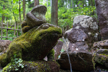 Stone frog fountain covered in moss, surrounded by forest on the peaceful Higashiyama Walking Course...