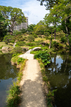 Elegant traditional bridges cross a calm pond in Shukkei-en, a serene Japanese garden nestled in the heart of Hiroshima, Japanの写真素材