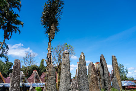 Tall funerary monoliths rise among traditional houses in a village of the Toraja land, located in...