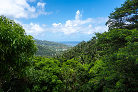 Lush tropical forest covering the mountains overlooking Atuona Bay, Hiva Oa, French Polynesia. A...