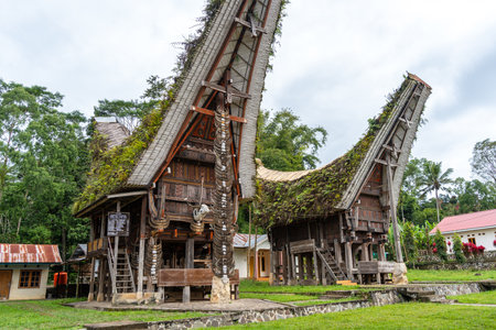 Ornate Tongkonan houses adorned with buffalo horns represent the ancestral traditions and cultural...