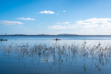 A kayaker glides across the calm waters of Lake Colac, Victoria, Australia. Peaceful lakeside...