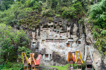 Traditional burial site with carved graves and Tau Tau effigies in the cliffs of Lemo, surrounded by...