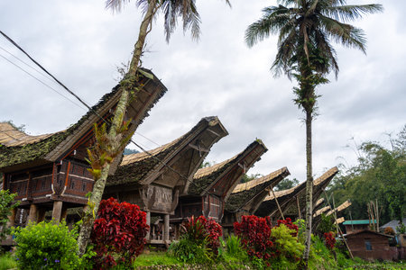 Ornate Tongkonan houses adorned with buffalo horns represent the ancestral traditions and cultural wealth of the Toraja people in Sulawesi, Indonesiaの写真素材