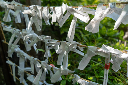 White paper fortunes called omikuji are tied to strings in the garden of Daisho-in Temple on Japanâs sacred Miyajima Islandの写真素材