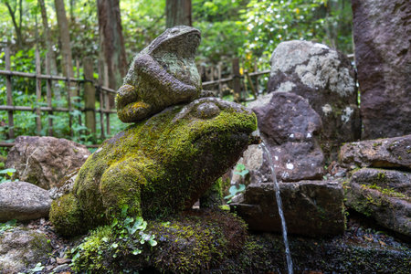 Stone frog fountain covered in moss, surrounded by forest on the peaceful Higashiyama Walking Course in Takayama, Japanの写真素材