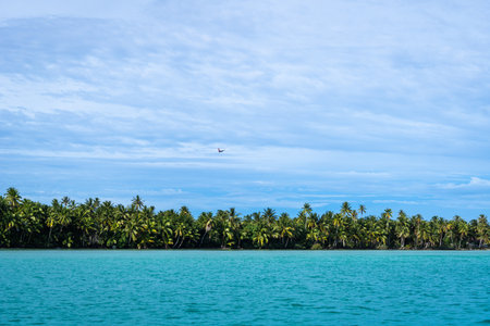 A plane takes off above the coconut trees on Maupiti Island, capturing the stunning landscape of French Polynesia with turquoise waters and a blue skyの写真素材