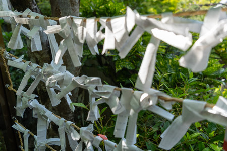 White paper fortunes called omikuji are tied to strings in the garden of Daisho-in Temple on Japanâs sacred Miyajima Islandの写真素材
