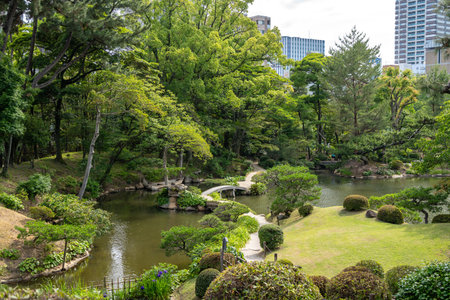 Elegant traditional bridges cross a calm pond in Shukkei-en, a serene Japanese garden nestled in the heart of Hiroshima, Japanの写真素材