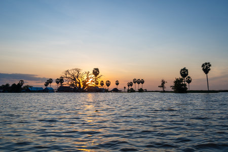 Traditional Bugis stilt houses and palm trees reflect golden sunset light over the calm waters of Lake Tempe in Sulawesi, Indonesiaの写真素材