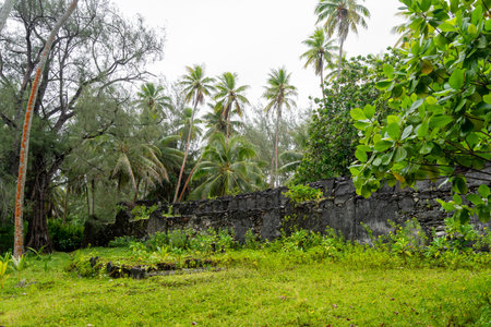 Marae Manunu, an ancient Polynesian sacred site on Huahine, stands among coconut trees and lush vegetation, preserving the islandâs spiritual and historical heritageの写真素材