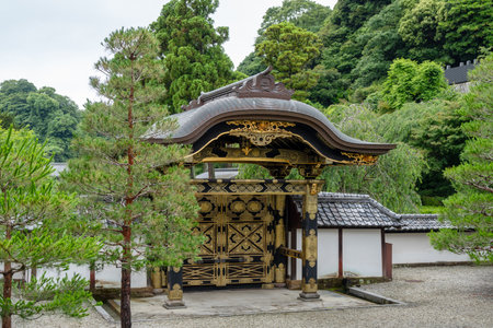 The ornate Karamon gate at Kencho-ji Shrine in Kamakura features intricate woodwork and golden details, framed by green pines and temple wallsの写真素材