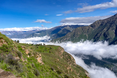 A stunning view of Colca Canyon with dramatic cliffs, lush greenery, and a clear blue sky