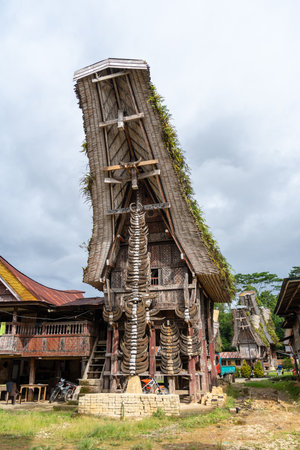 Traditional Tongkonan house represent the ancestral traditions and cultural wealth of the Toraja...
