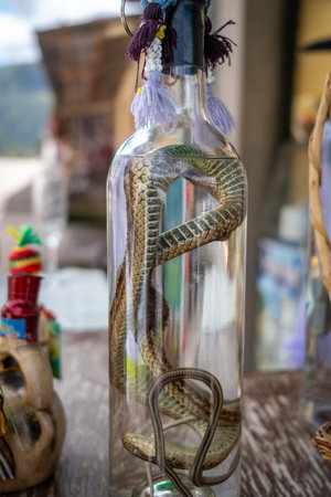 A traditional bottle of alcohol containing a preserved snake, often seen as a local novelty or...