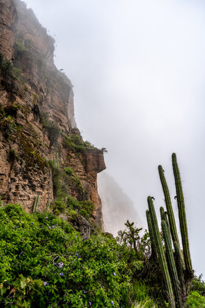 Mist and clouds envelop the stunning landscape of Colca Canyon in Peru, with steep mountains and highlandsの写真素材