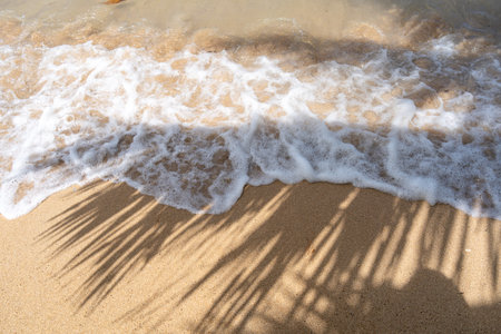 The shadow of a palm tree stretches across the golden sand of Anaho Beach, Nuku Hiva, French Polynesia, creating a tropical and serene atmosphereの写真素材
