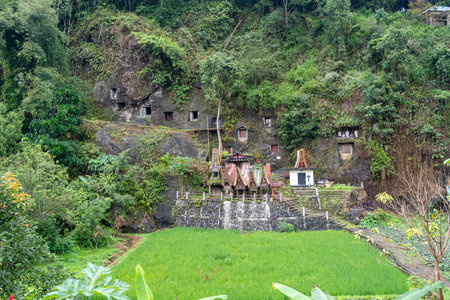 Traditional burial site with carved graves and Tau Tau effigies in the cliffs of Lemo, surrounded by...