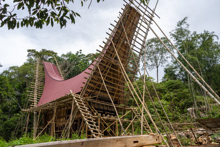 A large traditional Tongkonan house is being built with bamboo scaffolding in the lush Toraja region...