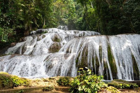 The Saluopa waterfall cascades down mossy rocks surrounded by lush tropical forest near Tentena,...