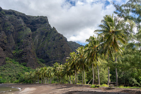 A secluded black sand beach in Hakaui Bay, Nuku Hiva, Marquesas Islands, French Polynesia. Towering cliffs, lush vegetation, and swaying palm trees create a stunning tropical paradiseの写真素材