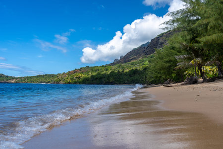 Golden sand, crystal-clear waters, and lush palm trees line the remote Anaho Bay in Nuku Hiva, French Polynesia, surrounded by green volcanic mountainsの写真素材