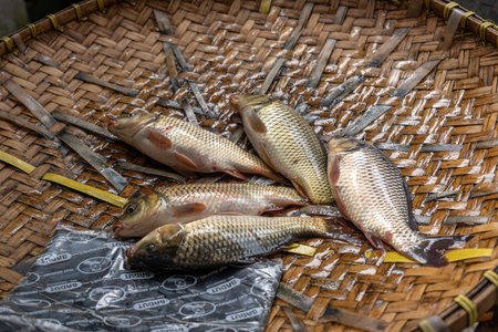 Fresh fish displayed on a woven bamboo tray at Bolu market in Rantepao, a vibrant traditional place...
