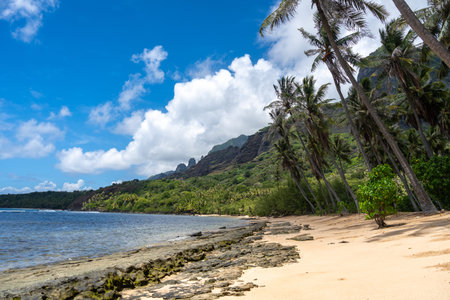 Golden sand, crystal-clear waters, and lush palm trees line the remote Anaho Bay in Nuku Hiva,...