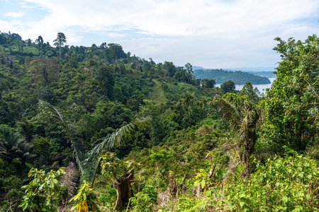 Wide view of Lake Poso surrounded by lush green hills and forests under a bright blue sky near...