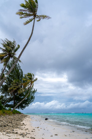 A serene beach on Huahine island with swaying palm trees, clear turquoise waters, coral fragments,...