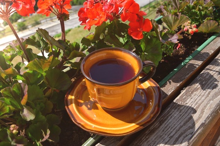 Tea cup on the between red geraniumの写真素材
