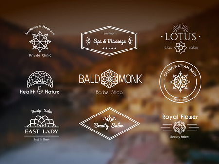 Asian health and beauty logo templates set.のイラスト素材