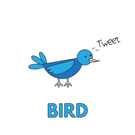 Cartoon Bird Flashcard for Childrenのイラスト素材