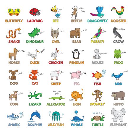 Cartoon Animals for Children Educationのイラスト素材